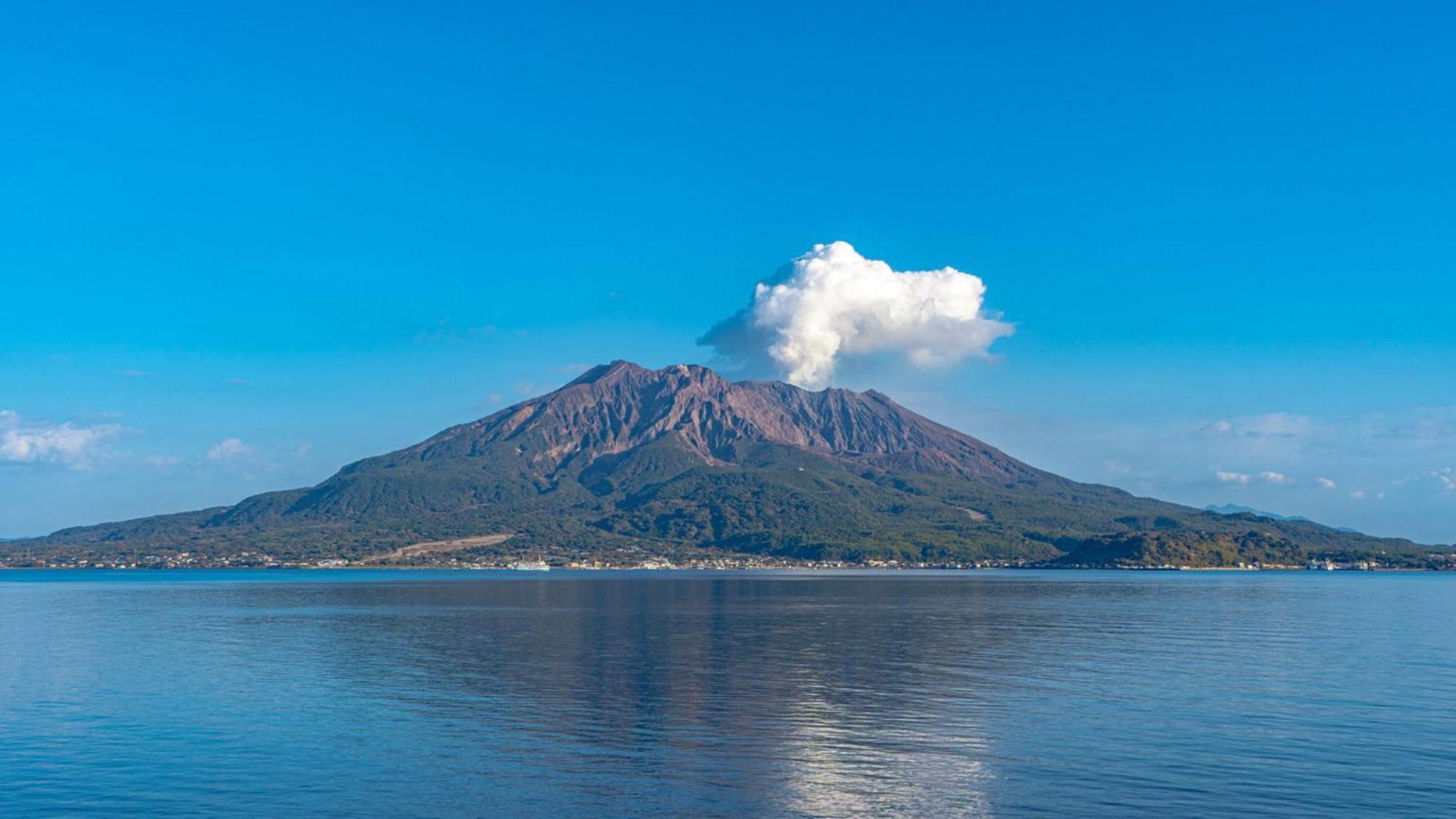 Toyoko Inn Kagoshima Chuo Eki Higashi Guchi Bagian luar foto